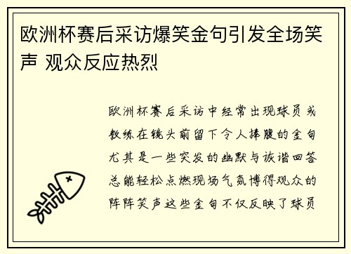 欧洲杯赛后采访爆笑金句引发全场笑声 观众反应热烈